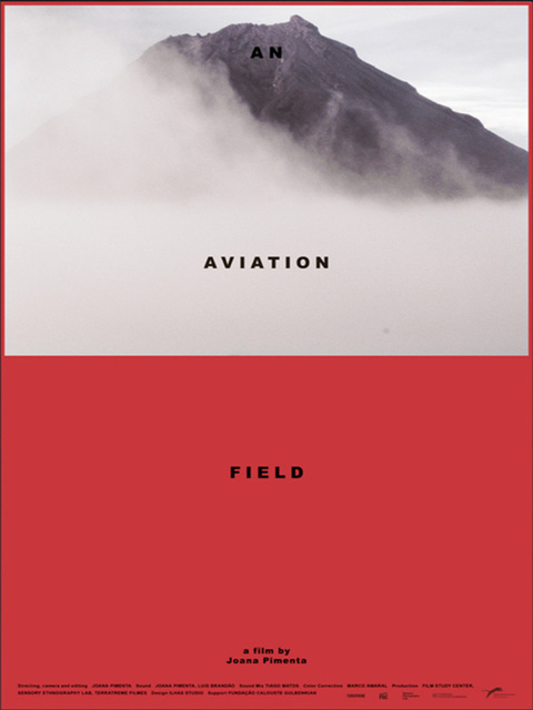 An Aviation Field