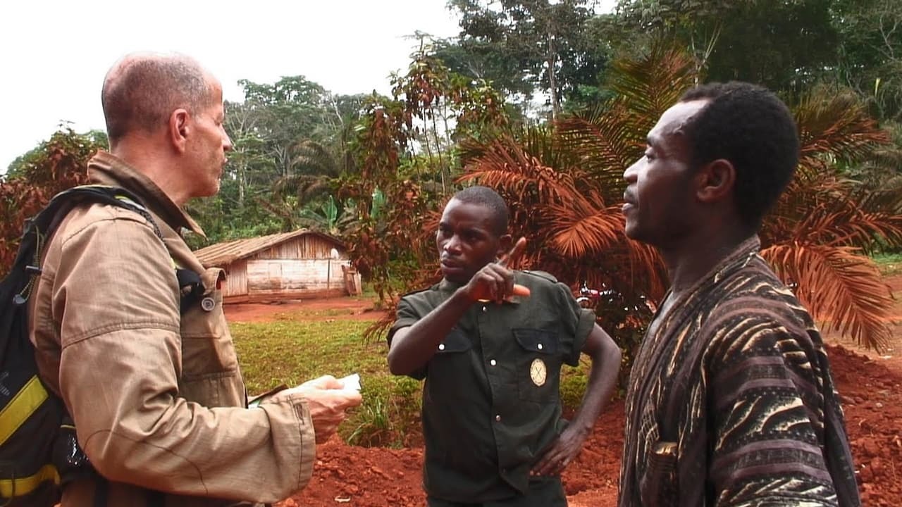 L'hypothèse du Mokélé-Mbembé (2011)